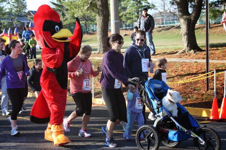 A costumed bird mascot walking among families with strollers at the race